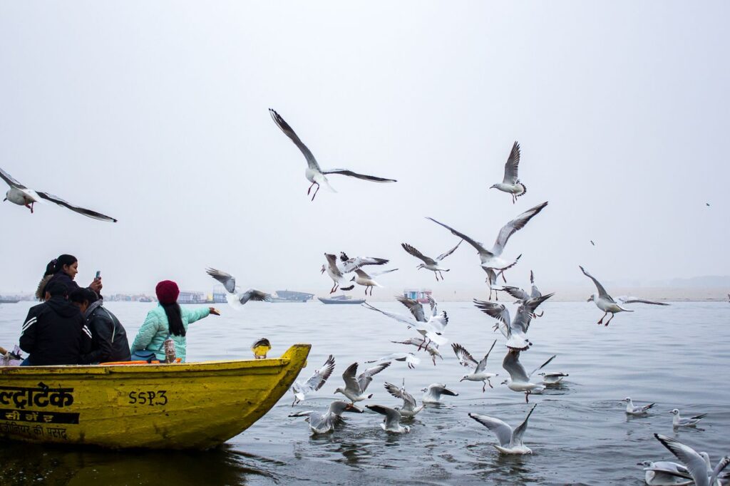 People on a boat observe seagulls over the Ganges River in Varanasi, capturing vibrant river life.